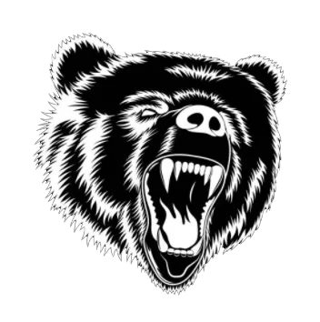 CSrating.ru